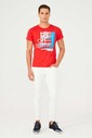 Bisiklet Yaka Erkek T-Shirt - Thumbnail