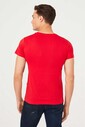 Bisiklet Yaka Erkek T-Shirt - Thumbnail