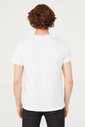 Bisiklet Yaka Erkek T-Shirt - Thumbnail