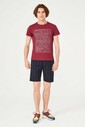 Cerruti 1881 Erkek Bisiklet Yaka T-Shirt - Thumbnail