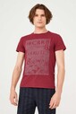 Cerruti 1881 Erkek Bisiklet Yaka T-Shirt - Thumbnail