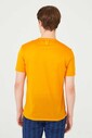 Erkek Bisiklet Yaka Kısa Kollu T-Shirt - Thumbnail