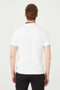 Erkek Polo Yaka T-Shirt - Thumbnail