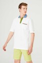 Paul&Shark Polo Yaka Erkek T-Shirt - Thumbnail