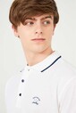 Paul&Shark Polo Yaka Erkek T-Shirt - Thumbnail
