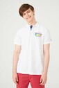Polo Yaka Erkek T-Shirt - Thumbnail