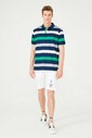 Polo Yaka Erkek T-Shirt - Thumbnail