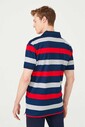 Polo Yaka Erkek T-Shirt - Thumbnail