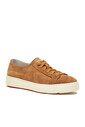 Santoni Kadın Süet Sneaker - Thumbnail
