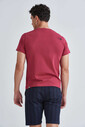 The North Face Erkek Mountain Line T-Shirt - Thumbnail