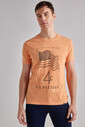 Woolrich Bisiklet Yaka Erkek T-Shirt - Thumbnail